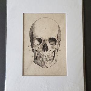 Skull anatomy print